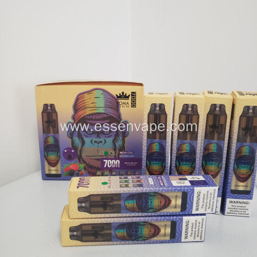 Netherlands RandM Tornado 7000 Wholesale Price